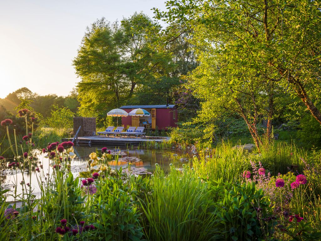 Image may contain Nature Outdoors Scenery Garden Pond Water Plant Vegetation Herbal Herbs Grass and Park