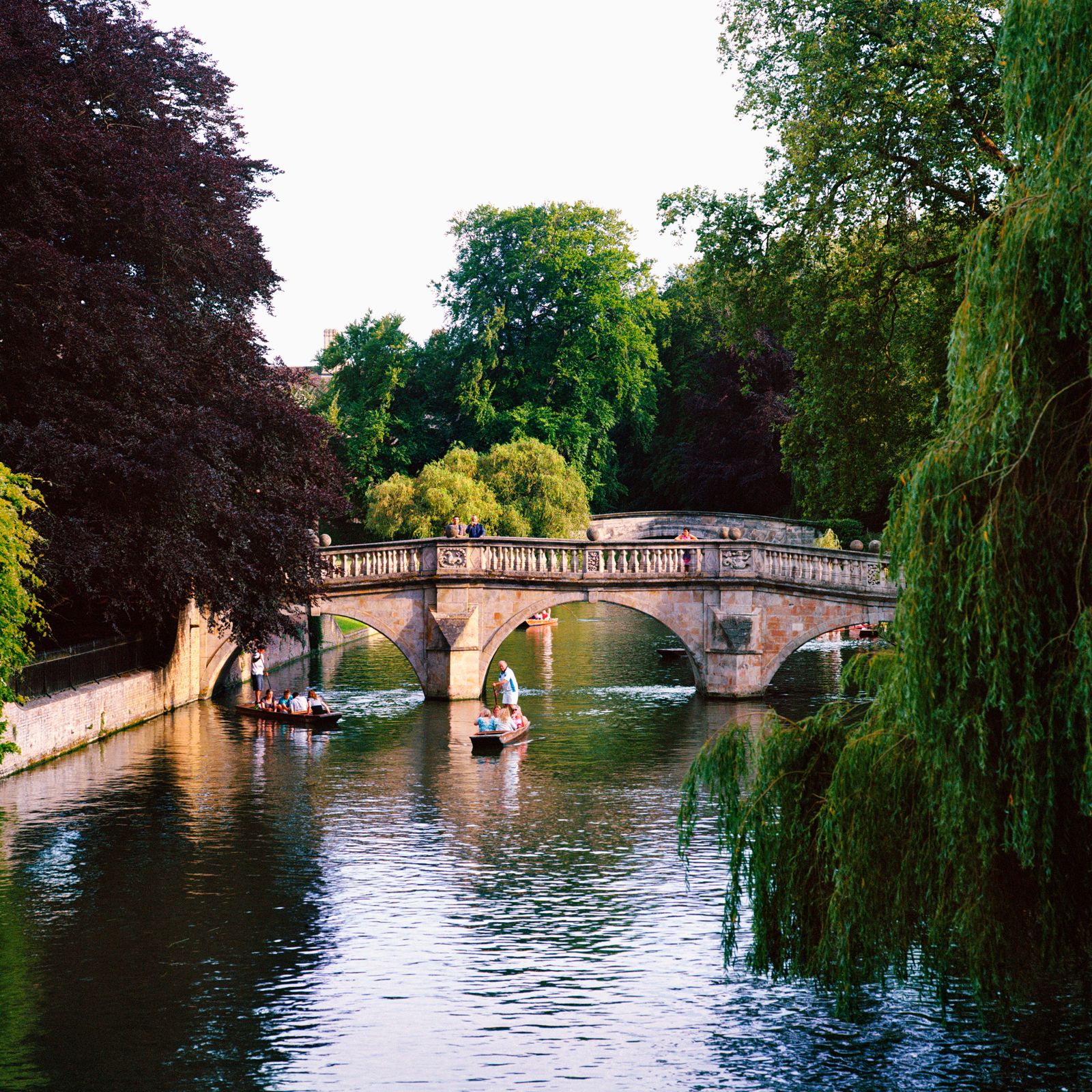Image may contain Plant Tree Boat Transportation Vehicle Person Outdoors Water Nature Scenery Bridge and Canal