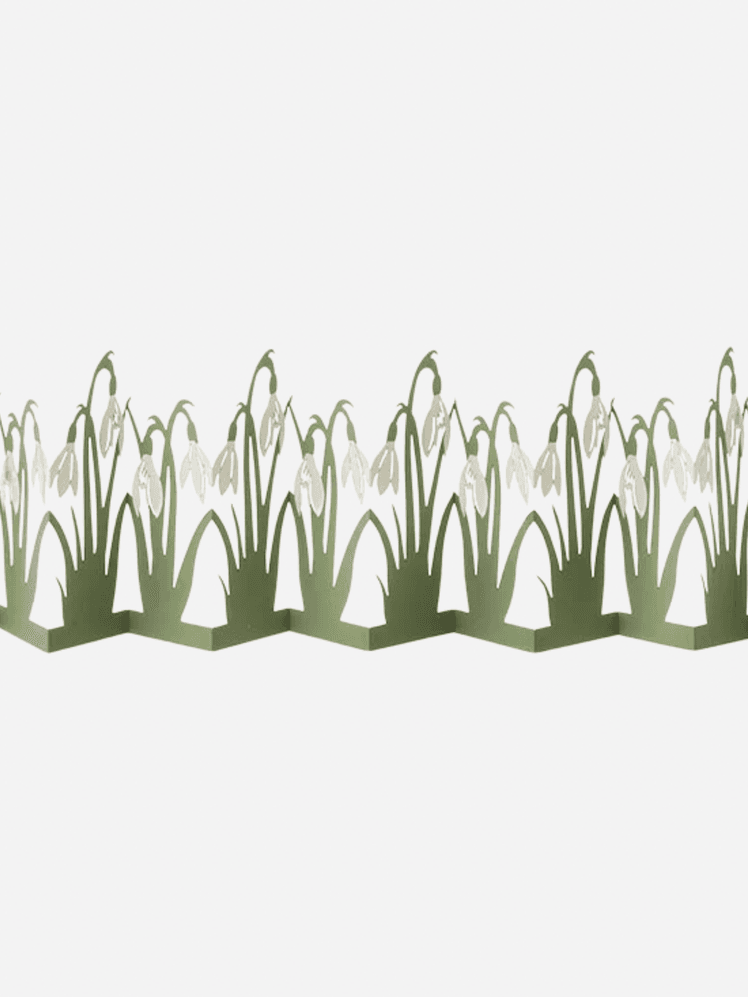 Image may contain: Flower, Plant, and Accessories