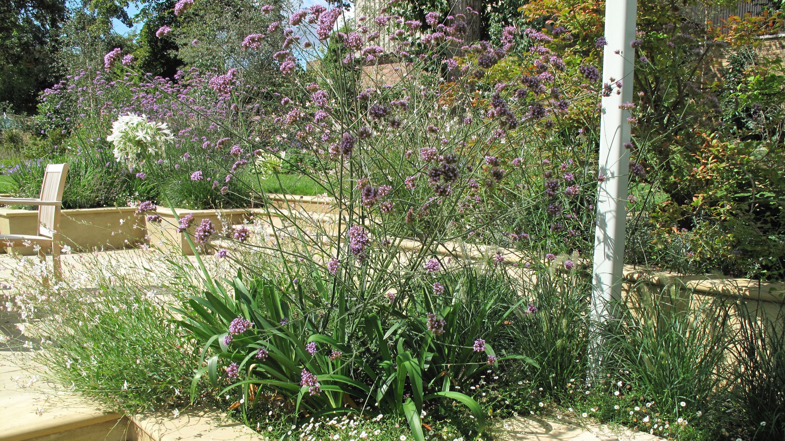 Image may contain: Herbal, Herbs, Plant, Vegetation, Potted Plant, Chair, Furniture, Jar, Planter, Pottery, Vase, and Garden