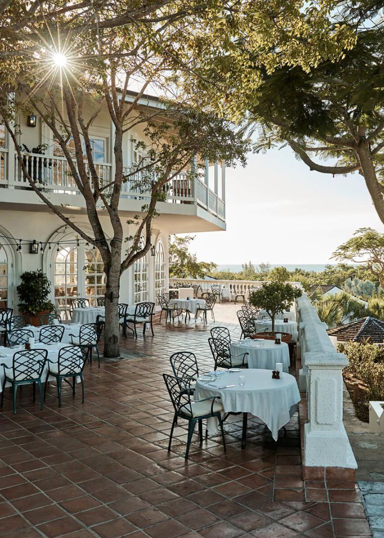 Image may contain Plant Dining Table Furniture Table Floor Architecture Building Dining Room Indoors and Room