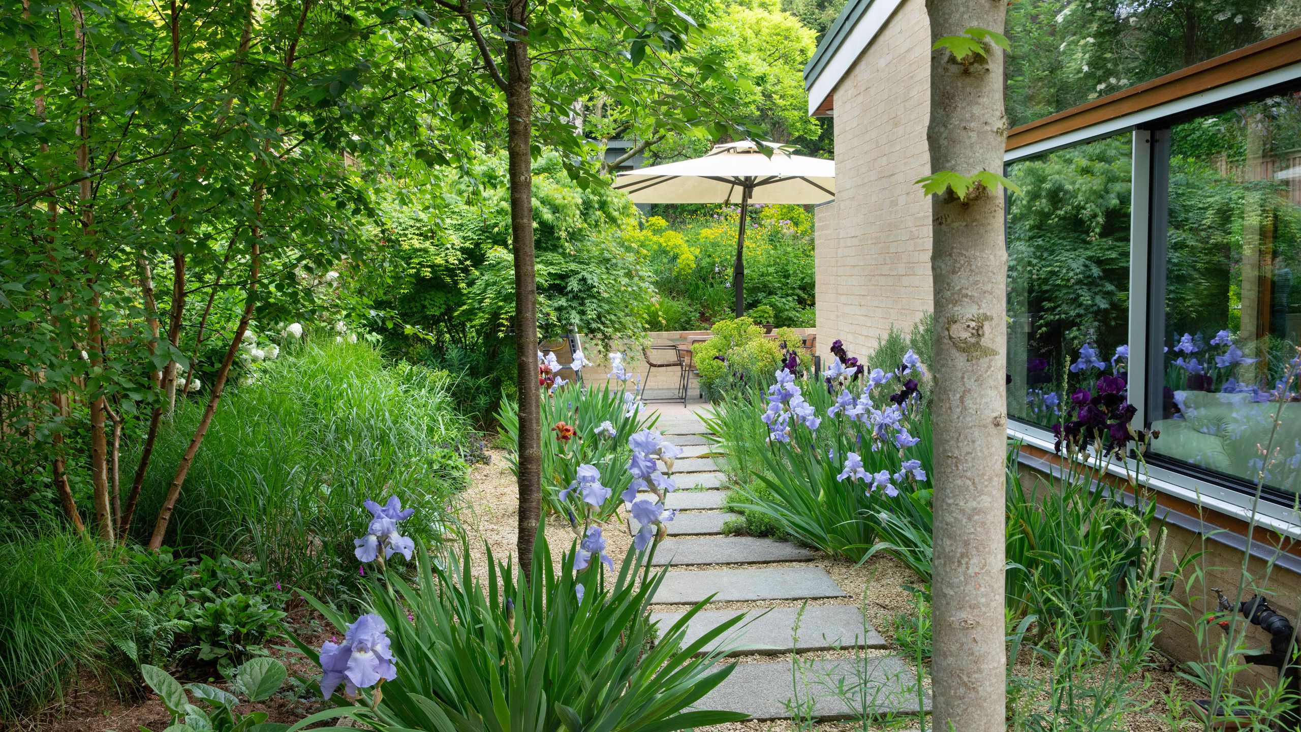 Image may contain: Garden, Nature, Outdoors, Backyard, Yard, Plant, Vegetation, Grass, Herbal, Herbs, Path, and Chair