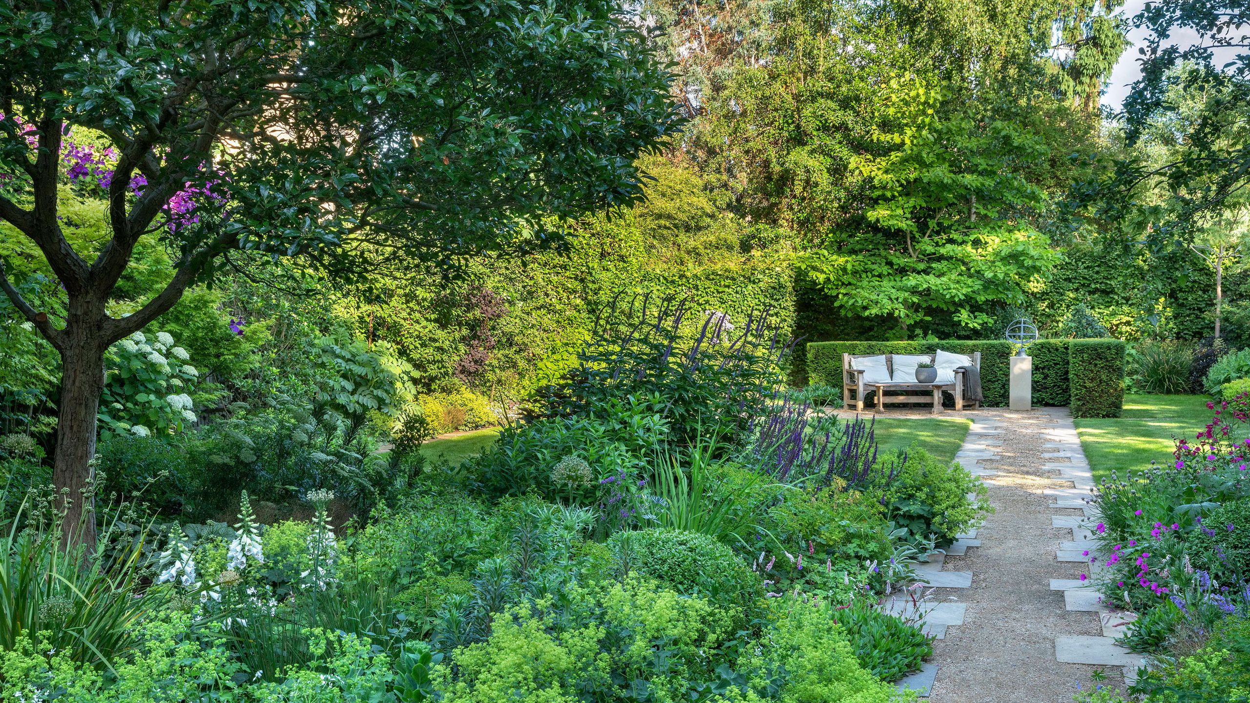 Image may contain: Garden, Nature, Outdoors, Grass, Park, Plant, Vegetation, Land, Tree, Woodland, Backyard, Yard, and Bench