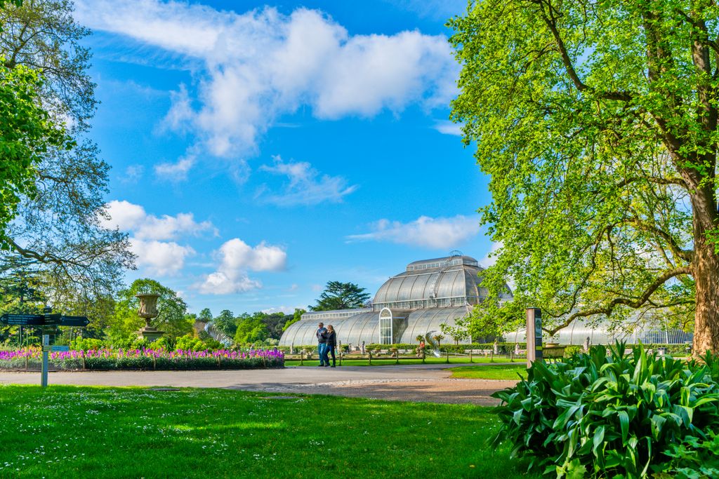 Image may contain Garden Nature Outdoors Grass Park Plant Person and Gardening