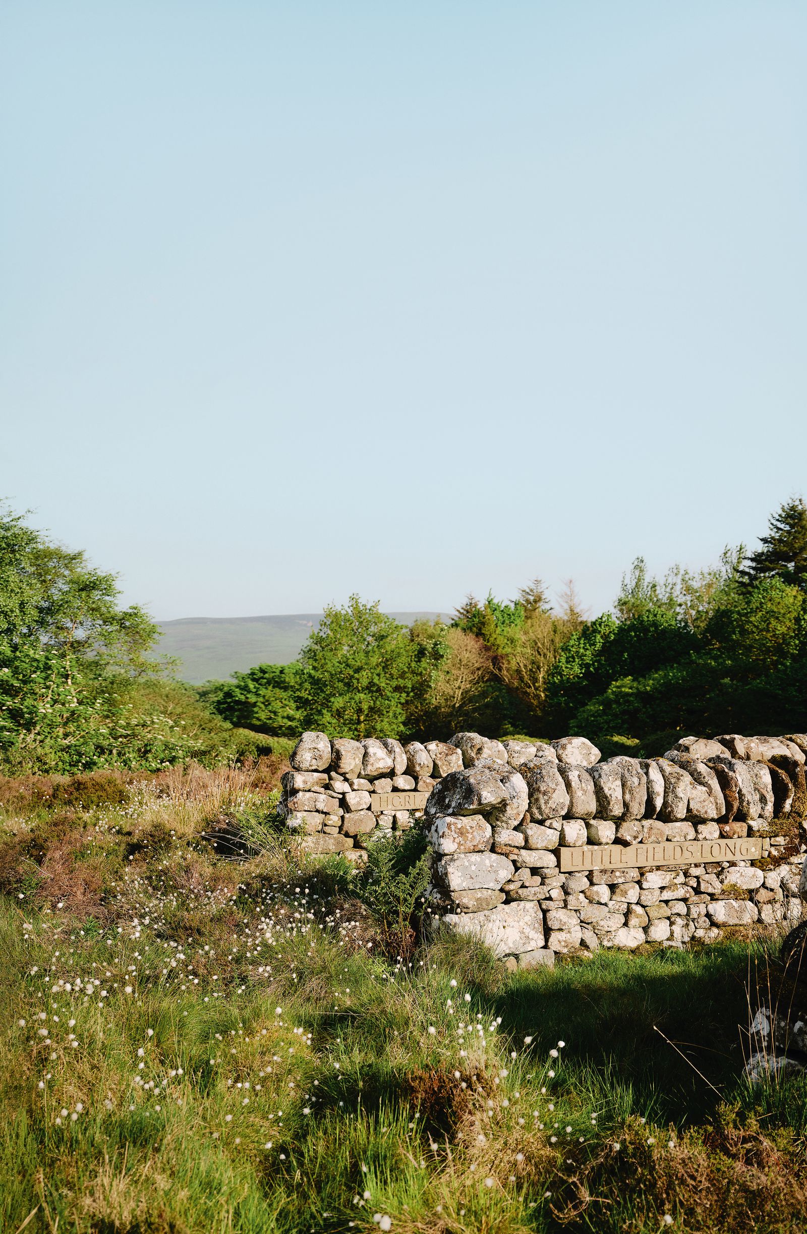 Image may contain Architecture Building Wall Nature Outdoors Wilderness Stone Wall Plant Vegetation and Rock