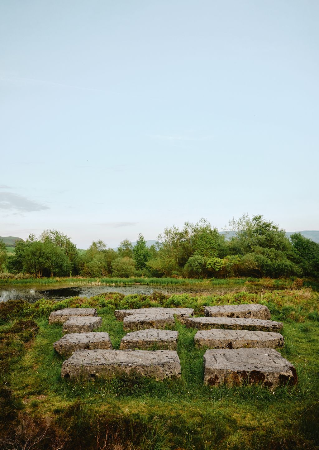 Image may contain Grass Plant Rock Countryside Farm Field Nature Outdoors Pasture Rural Green Scenery and Moss