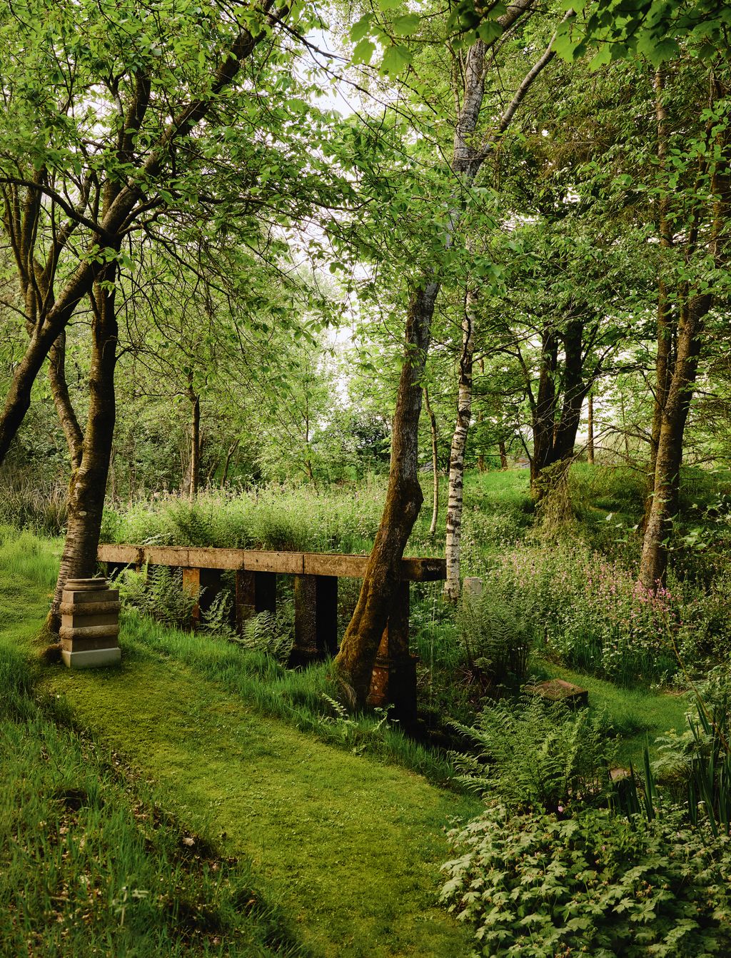 Image may contain Plant Vegetation Grove Land Nature Outdoors Tree Woodland Grass Park Path Scenery and Green