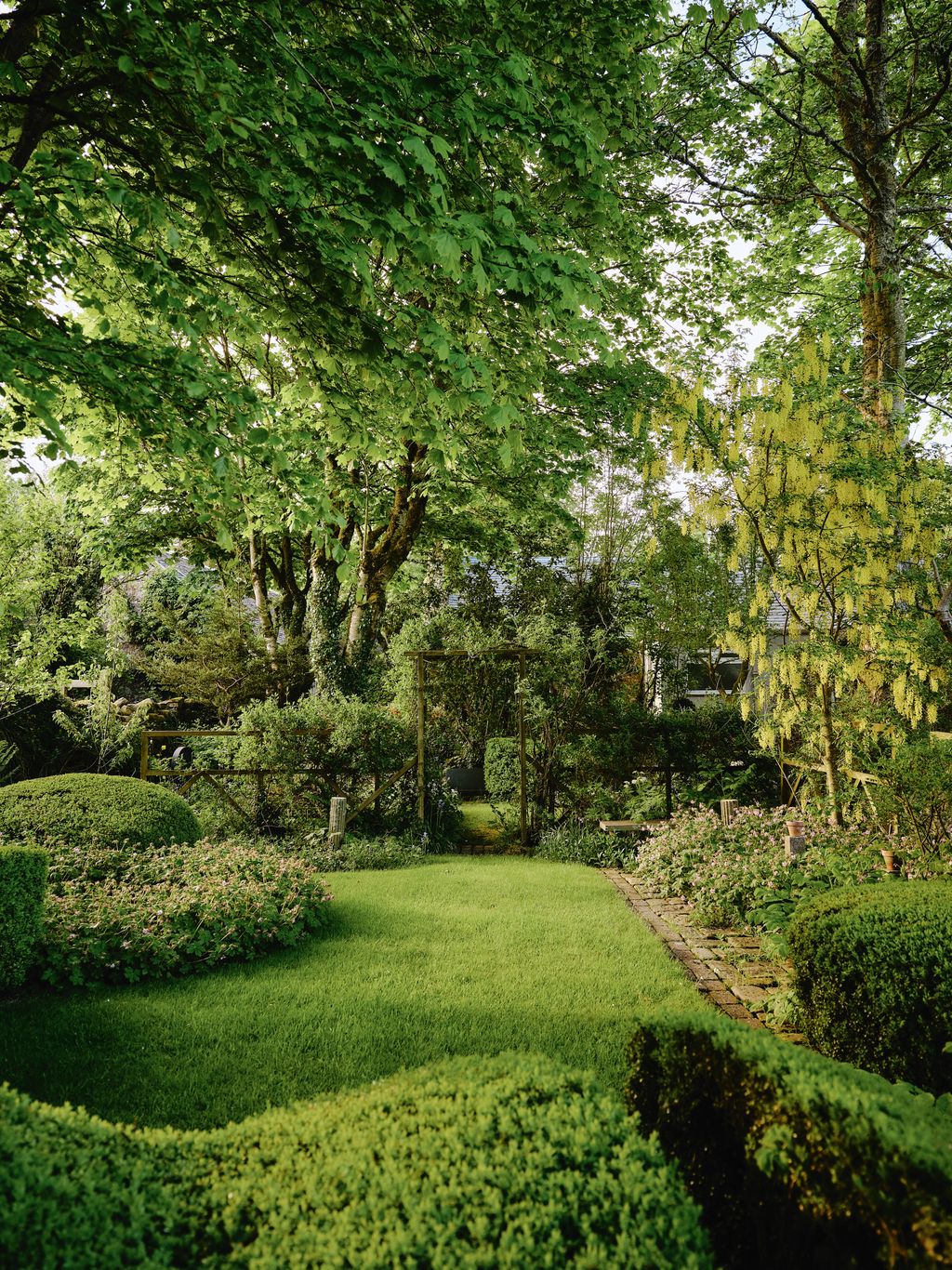 Image may contain Grass Plant Garden Nature Outdoors Park Vegetation Grove Land Tree Woodland Green and Lawn