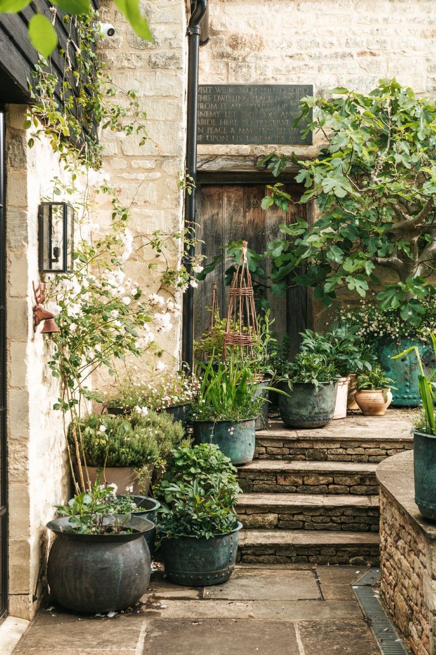 Image may contain Plant Potted Plant Garden Nature Outdoors Jar Planter Pottery Vase Cookware Pot and City