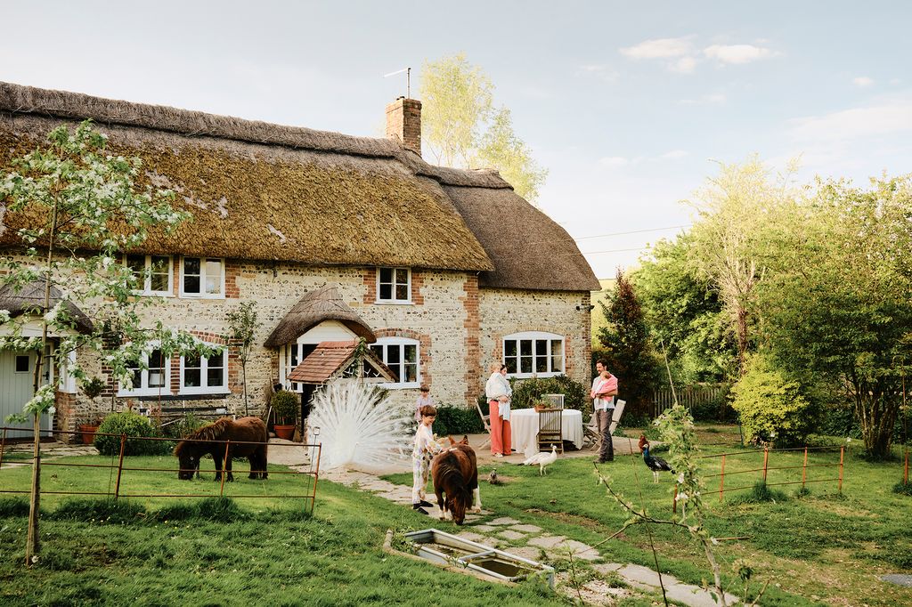 Image may contain Architecture Building Cottage House Housing Plant Person Animal Bird Chicken Fowl and Poultry