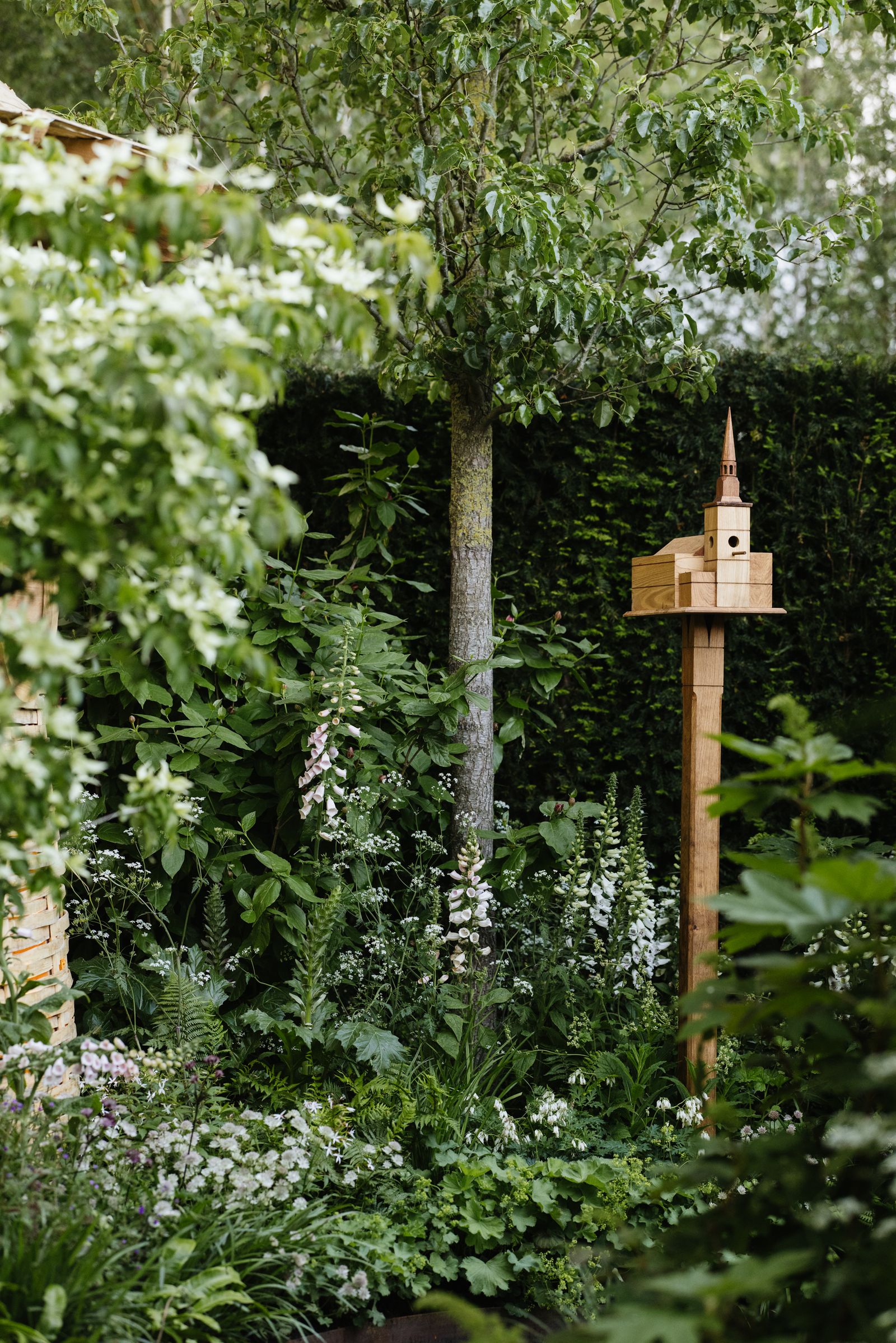 Image may contain Plant Vegetation Garden Nature Outdoors Land Tree Woodland Cross Symbol Jungle and Backyard