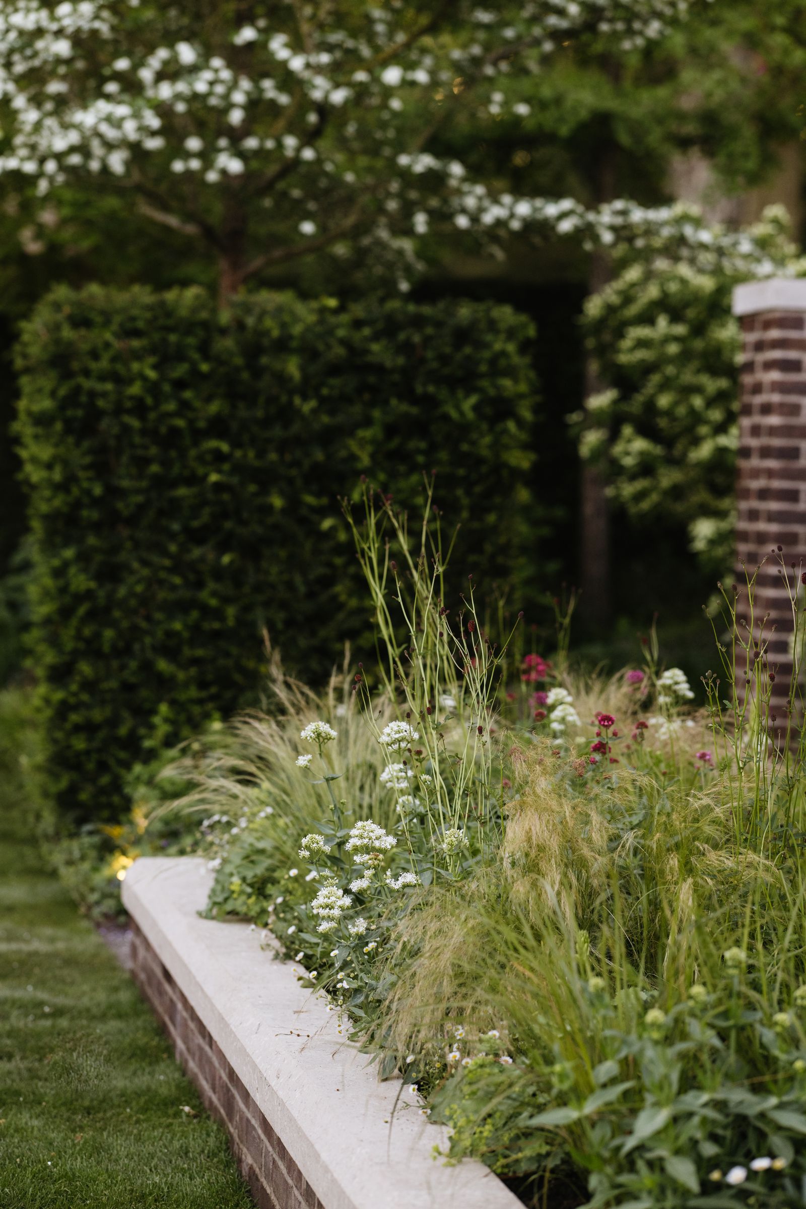 Image may contain Grass Plant Garden Nature Outdoors Backyard Yard Vegetation Jar Planter and Potted Plant