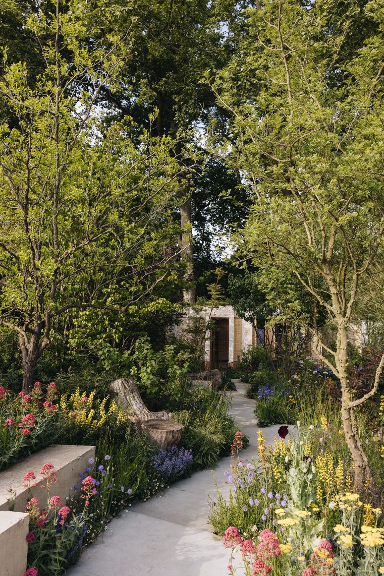 Image may contain: Garden, Nature, Outdoors, Grass, Park, Plant, Path, Vegetation, Herbal, Herbs, Tree, City, and Road