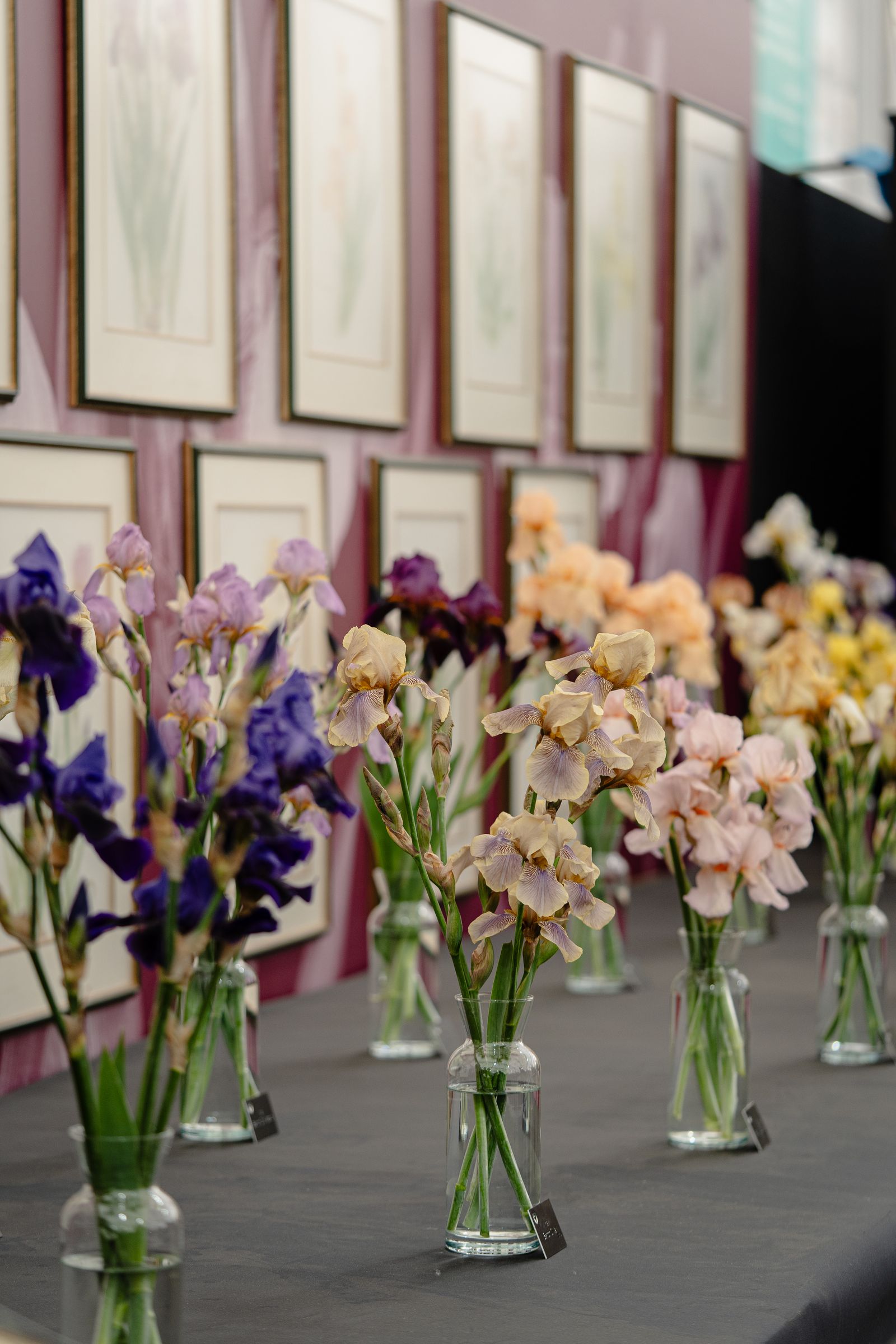 Image may contain Flower Flower Arrangement Plant Flower Bouquet Art Painting Jar Desk Furniture Table and Petal