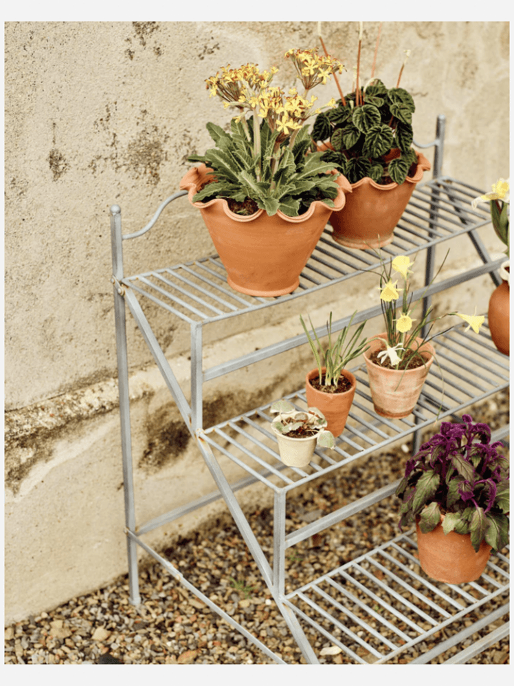 Image may contain: Plant, Potted Plant, Jar, Planter, Pottery, Vase, Flower, Flower Arrangement, and Person