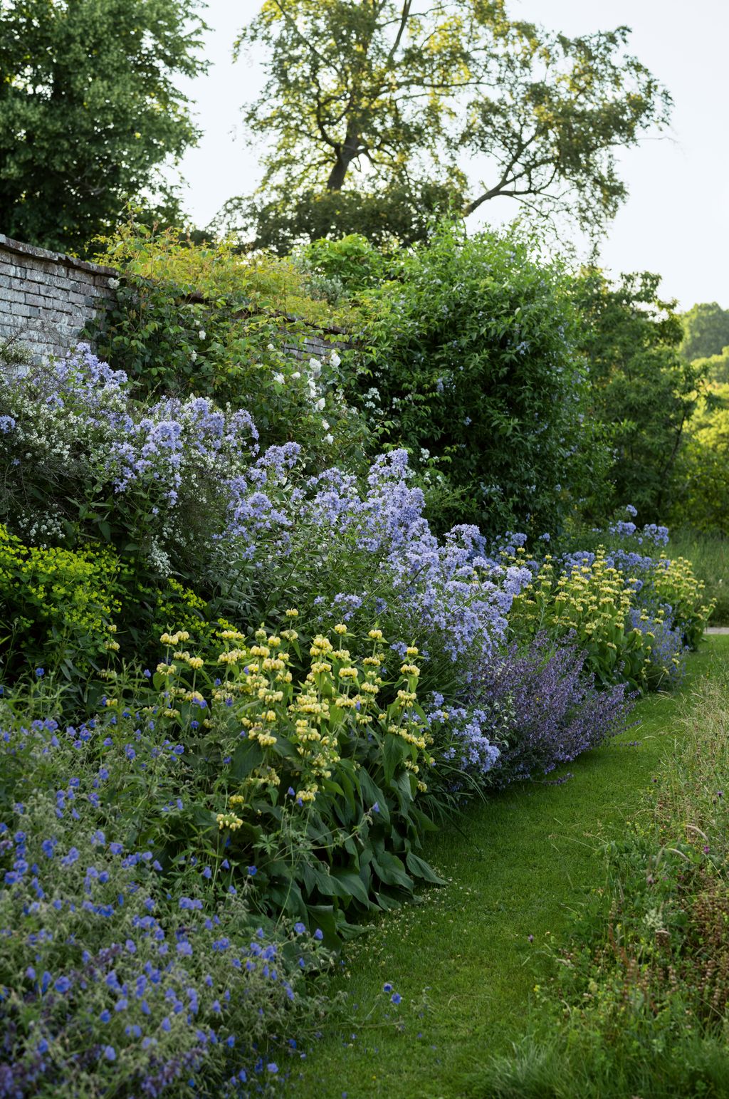 Image may contain Plant Vegetation Land Nature Outdoors Tree Woodland Garden Herbal Herbs Grass and Flower