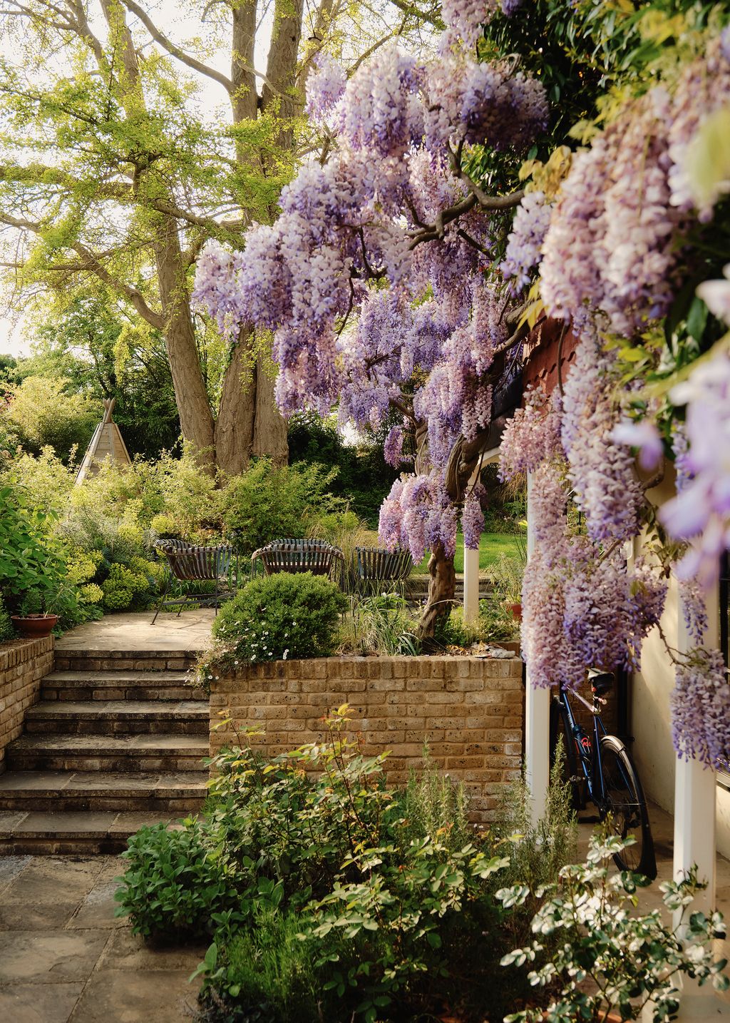 Image may contain Garden Nature Outdoors Plant Potted Plant Vegetation Herbal Herbs Grass Grove Land and Tree