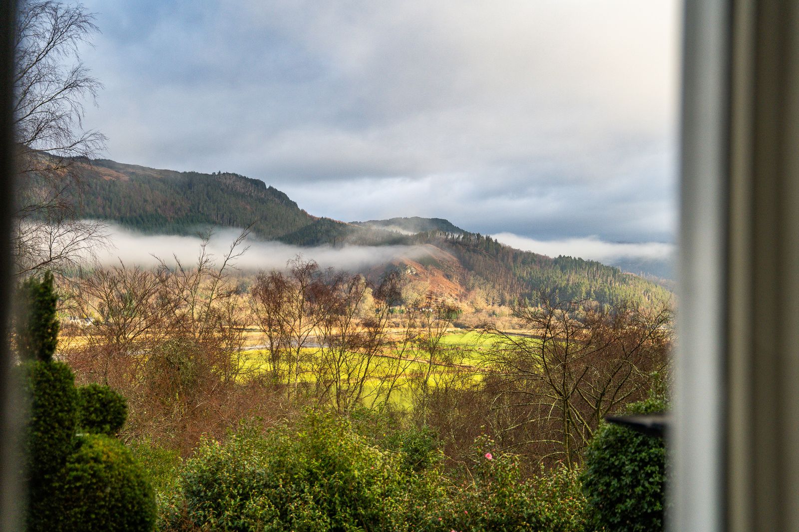 Image may contain Plant Vegetation Nature Outdoors Scenery Weather Land Tree Woodland Landscape Grass and Sky