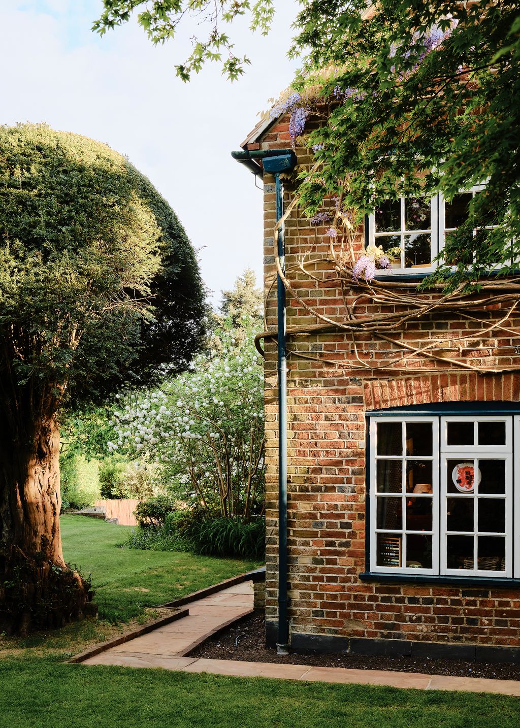 Image may contain Grass and Plant