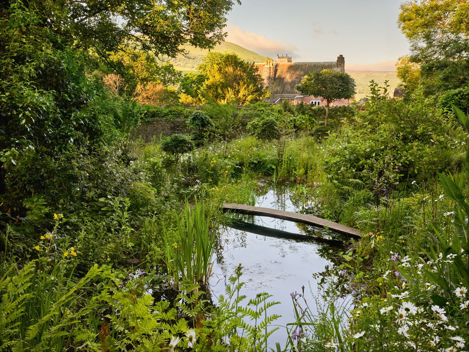 Image may contain Nature Outdoors Pond Water Scenery Land Plant Vegetation Grass Garden Tree and Woodland