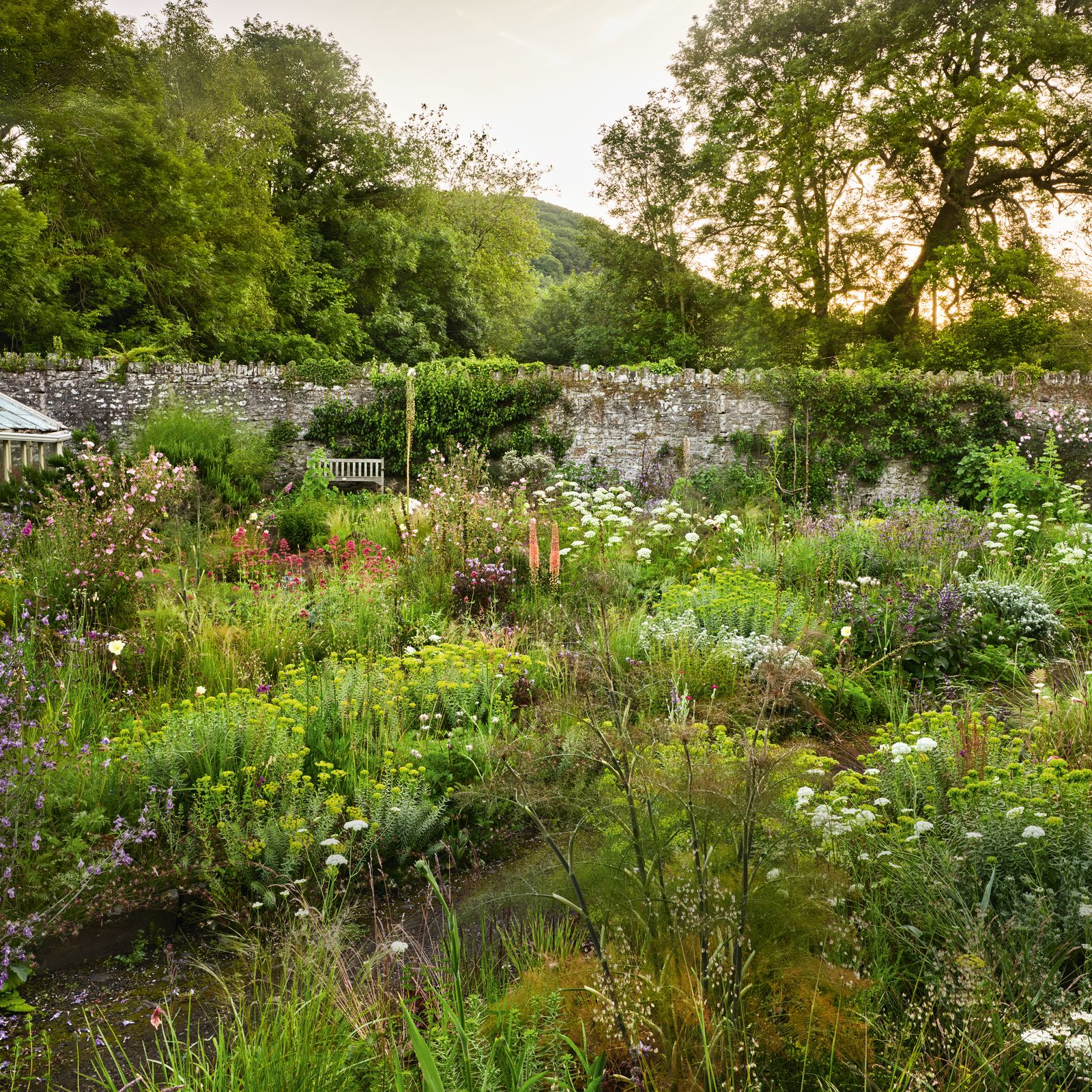 Sarah Price's idyllic Abergavenny garden, filled with her experiments in resilient and low-intervention planting