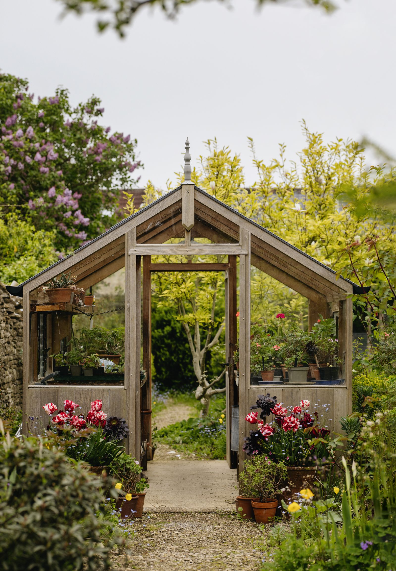 Image may contain Garden Nature Outdoors Plant Potted Plant Jar Planter Pottery Vase Indoors and Interior Design