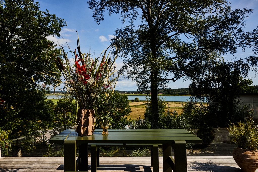 Image may contain Plant Potted Plant Grass Vegetation Tree Flower Flower Arrangement Furniture Table and Jar