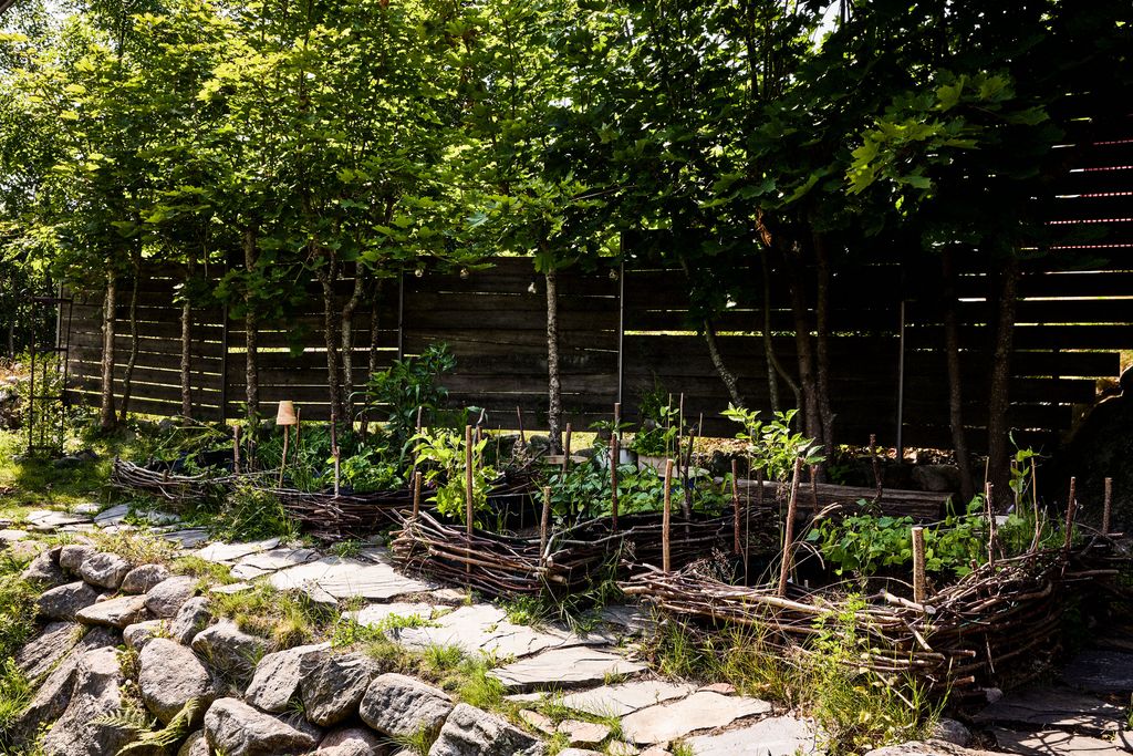 Image may contain Garden Nature Outdoors Backyard Yard Indoors Interior Design Plant Potted Plant and Vegetation