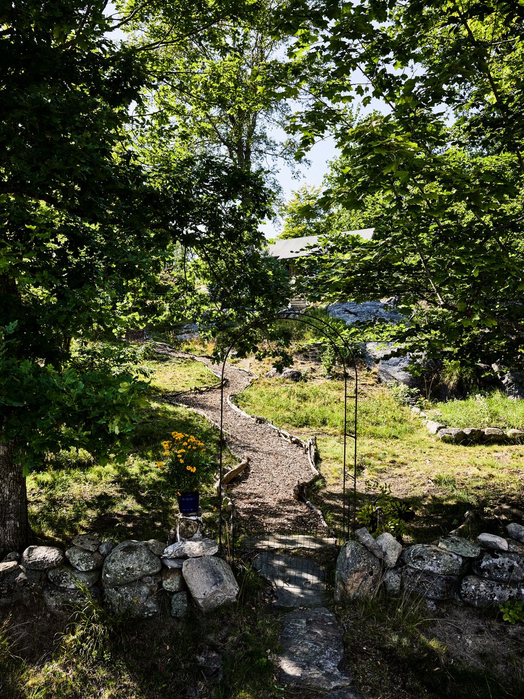 Image may contain Grove Land Nature Outdoors Path Plant Rock Tree Vegetation Wilderness Woodland Grass and Park