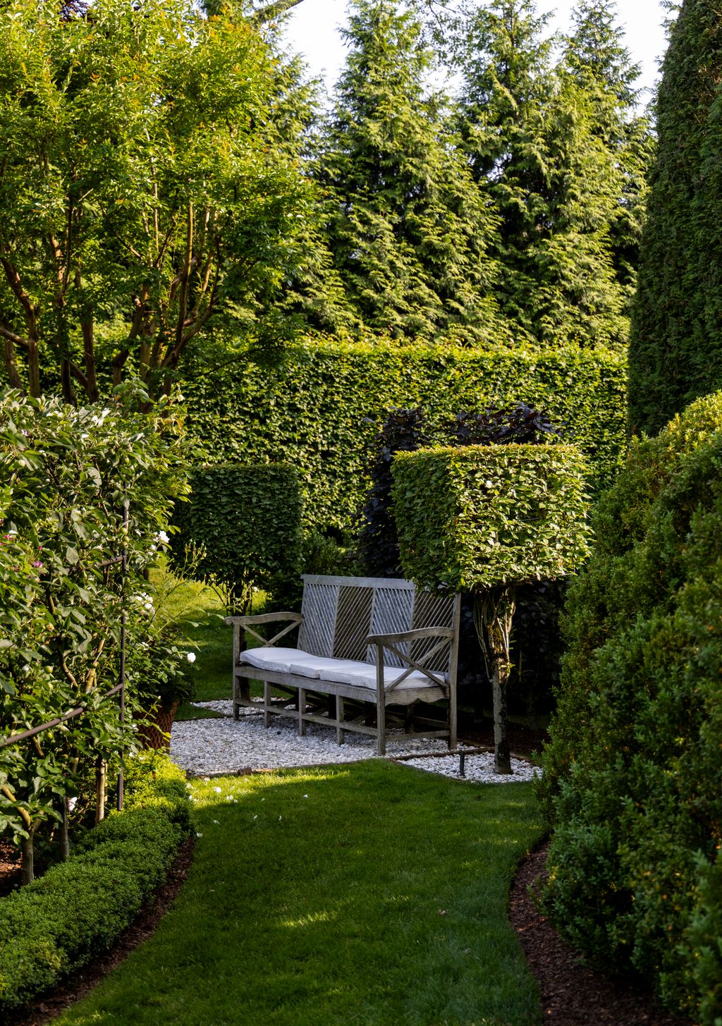 Image may contain Garden Nature Outdoors Grass Park Plant Backyard Yard Fence Hedge Bench Furniture and Tree