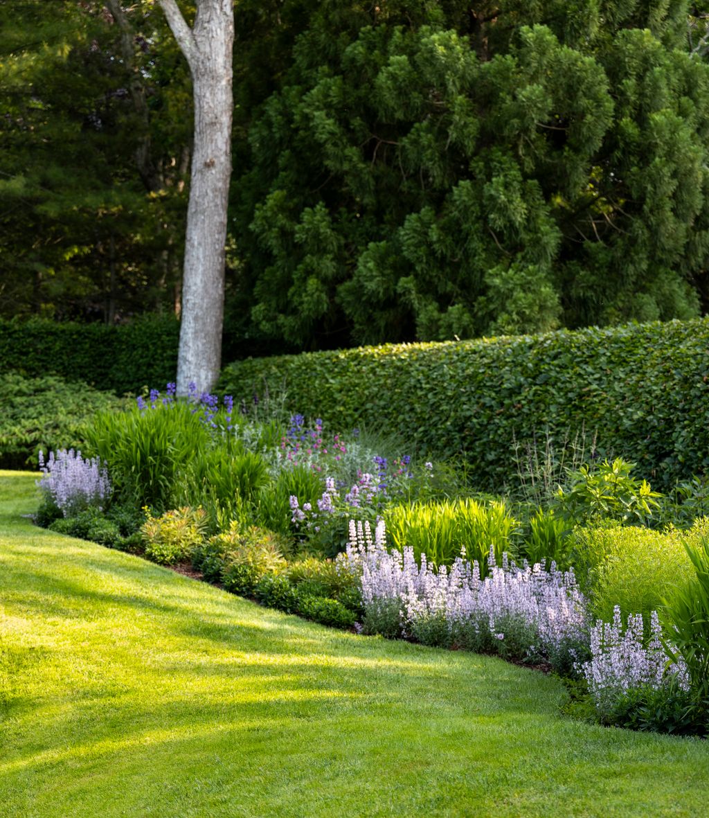 Image may contain Grass Plant Vegetation Garden Nature Outdoors Park Lawn Tree Land Woodland Fence and Hedge