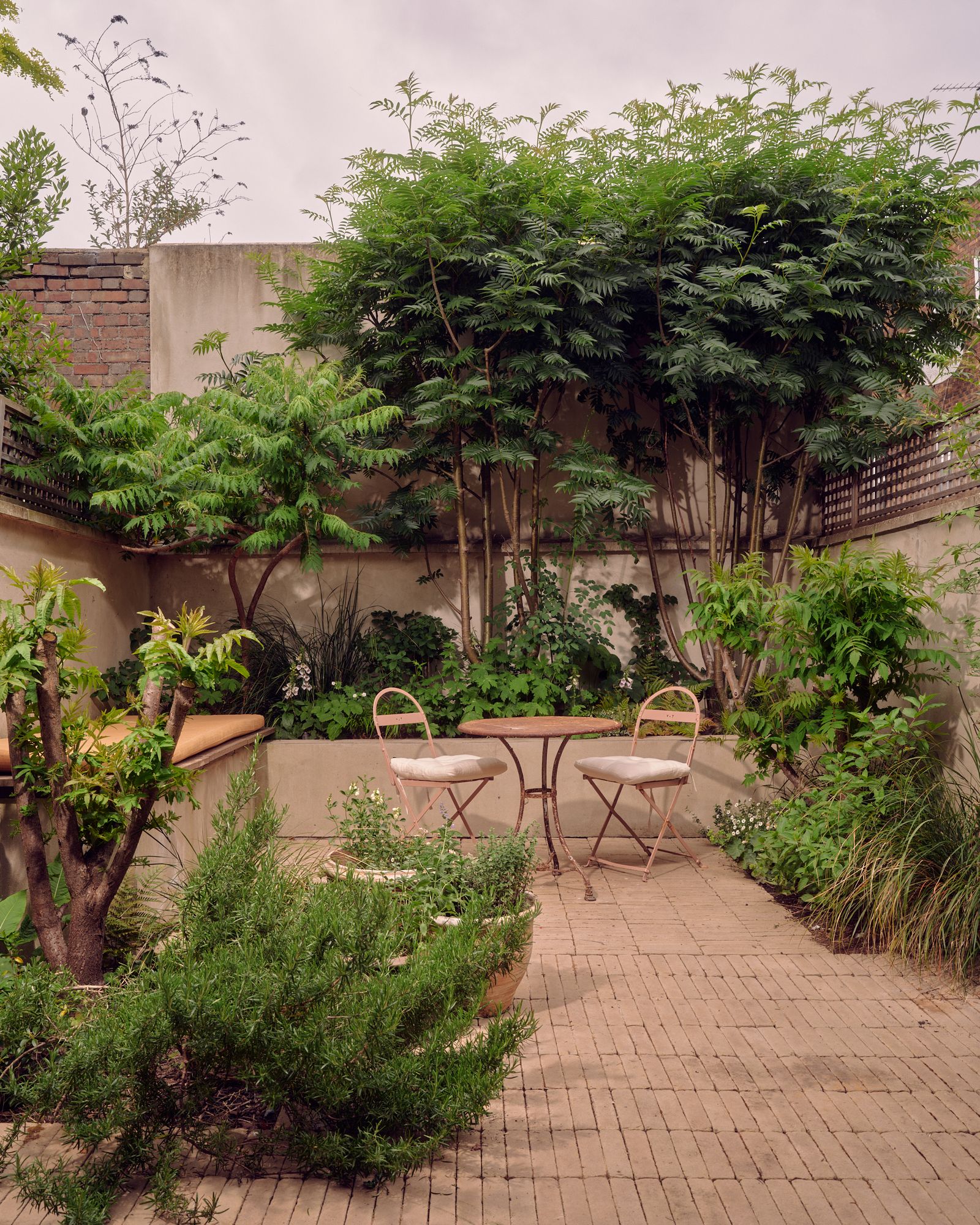 Image may contain Backyard Nature Outdoors Yard Garden Desk Furniture Table Chair Herbal Herbs and Plant