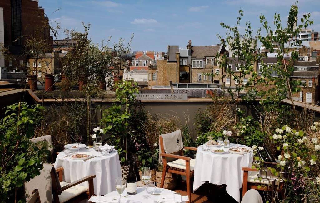 Image may contain Terrace Chair Furniture City Plate Table Blade Knife Weapon Indoors Plant and Dining Table