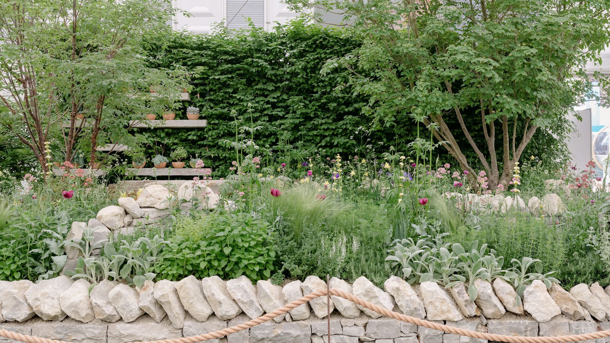 Image may contain: Backyard, Nature, Outdoors, Yard, Garden, Herbal, Herbs, Plant, Vegetation, Grass, and Architecture