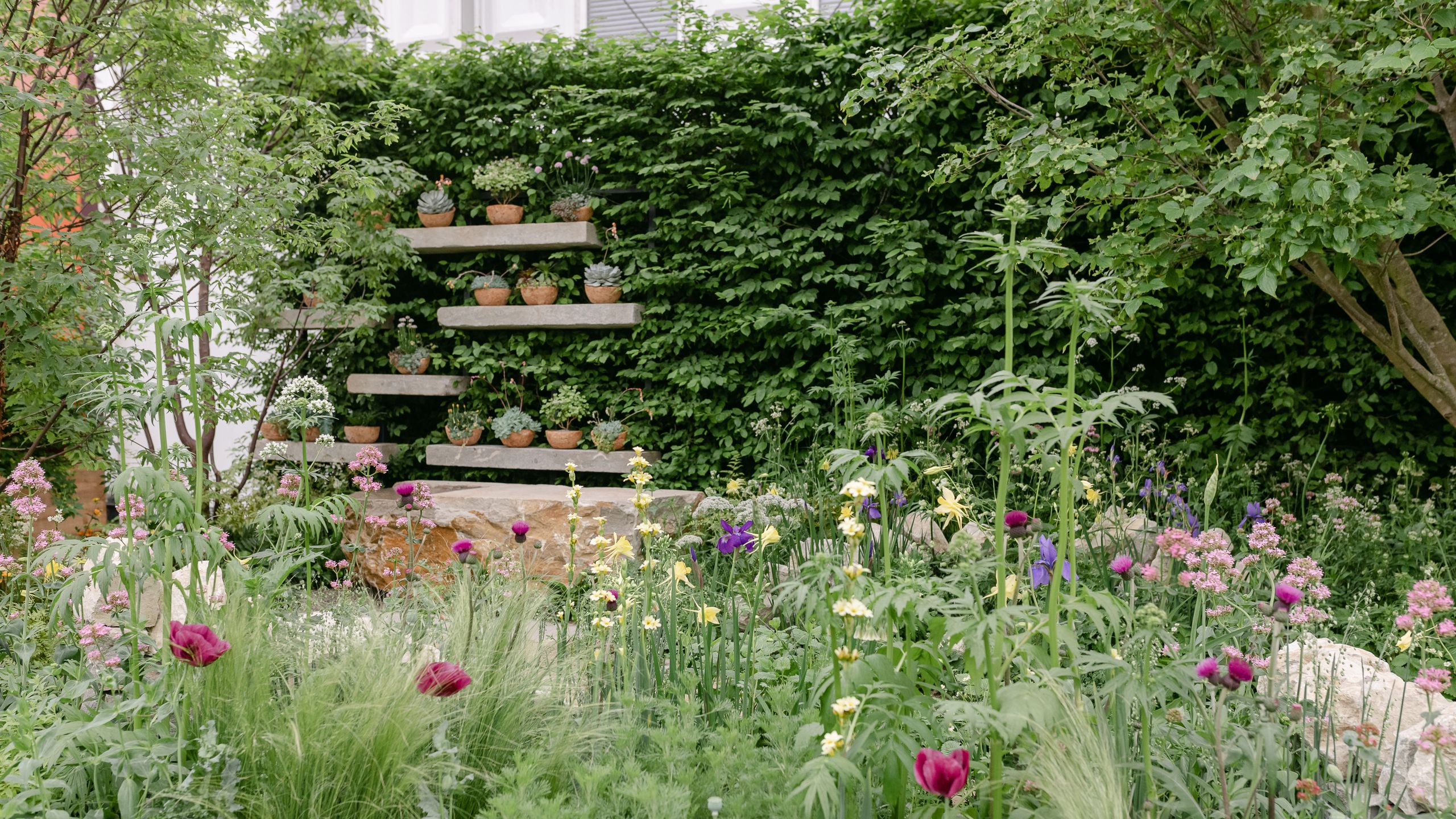 Image may contain: Garden, Nature, Outdoors, Backyard, Yard, Herbal, Herbs, Plant, Vegetation, Potted Plant, Grass, and Jar