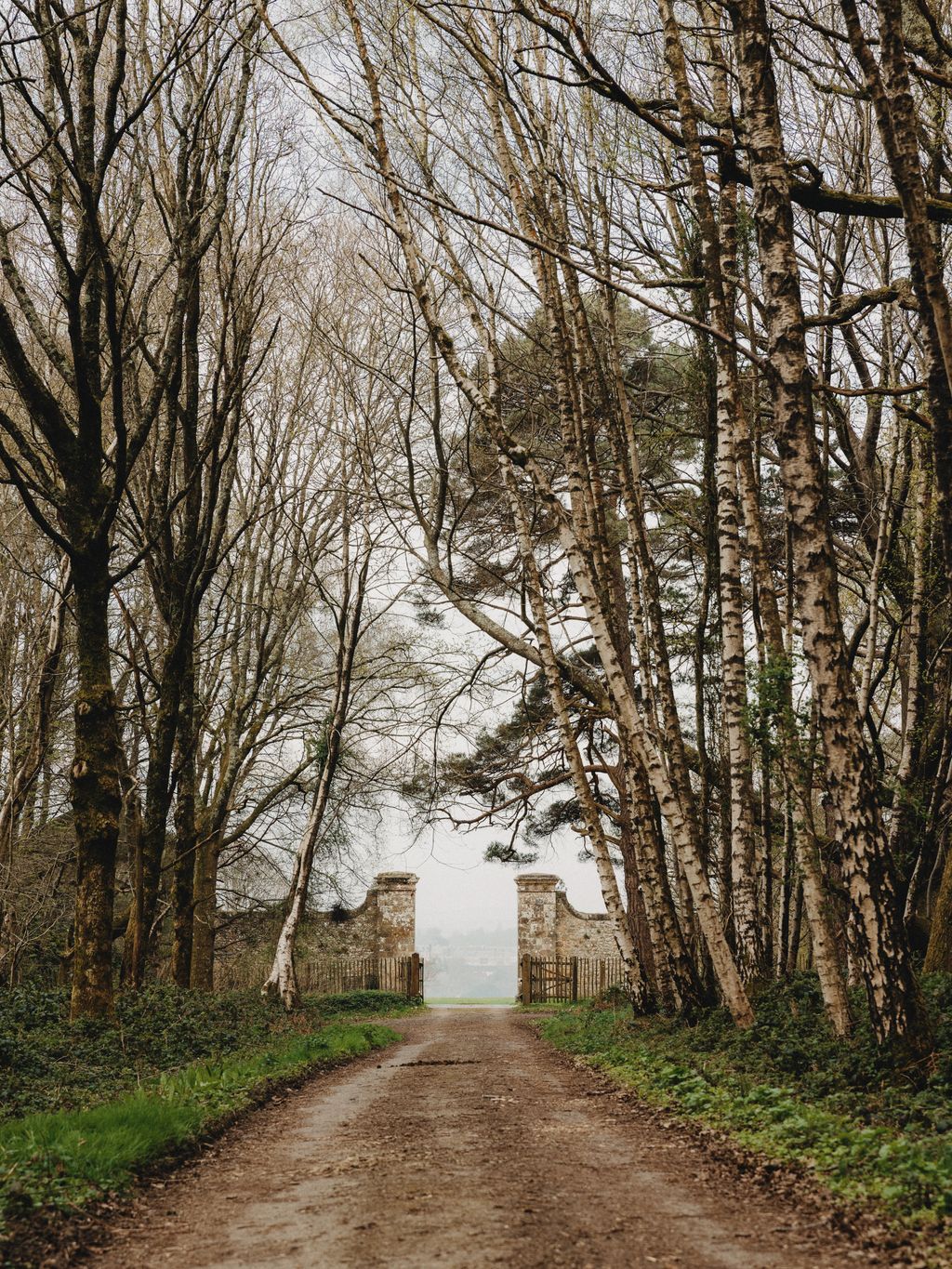 Image may contain Path City Road Street Urban Plant Vegetation Tree Nature Outdoors Trail and Architecture