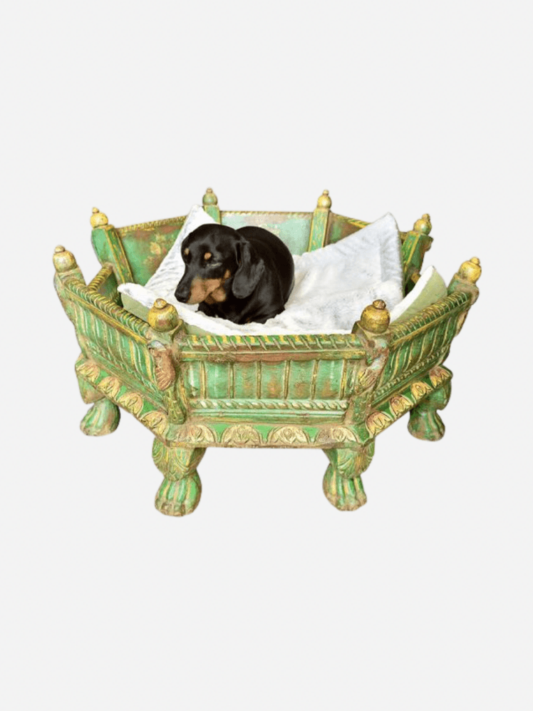 Image may contain: Furniture, Crib, Infant Bed, Animal, Canine, Dog, Mammal, Pet, and Bed