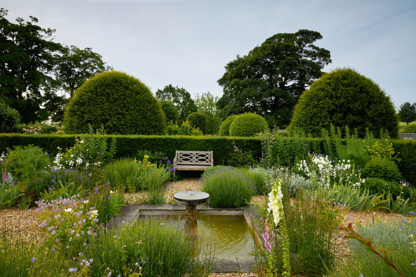 Image may contain Garden Nature Outdoors Grass Park Plant Pond Water Bench Furniture Backyard Yard and Fence