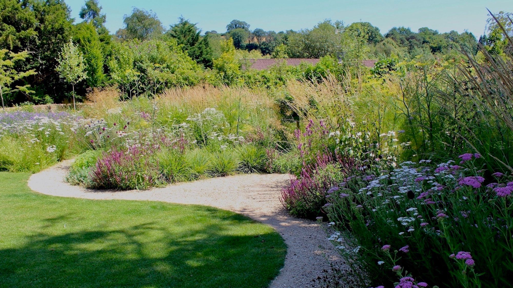 Image may contain: Plant, Vegetation, Grass, Nature, Outdoors, Park, Garden, Land, Tree, Woodland, Architecture, and Building