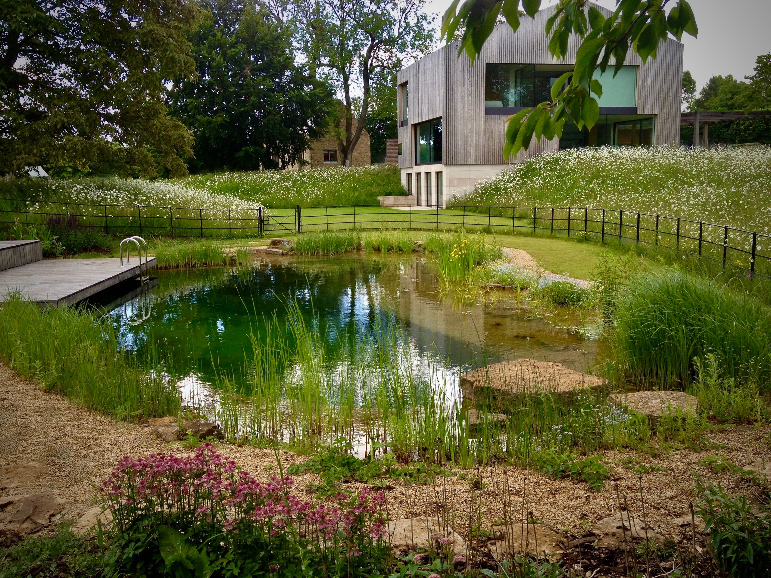 Image may contain: Nature, Outdoors, Pond, Water, Grass, Plant, Scenery, Backyard, Yard, Garden, Architecture, and Building