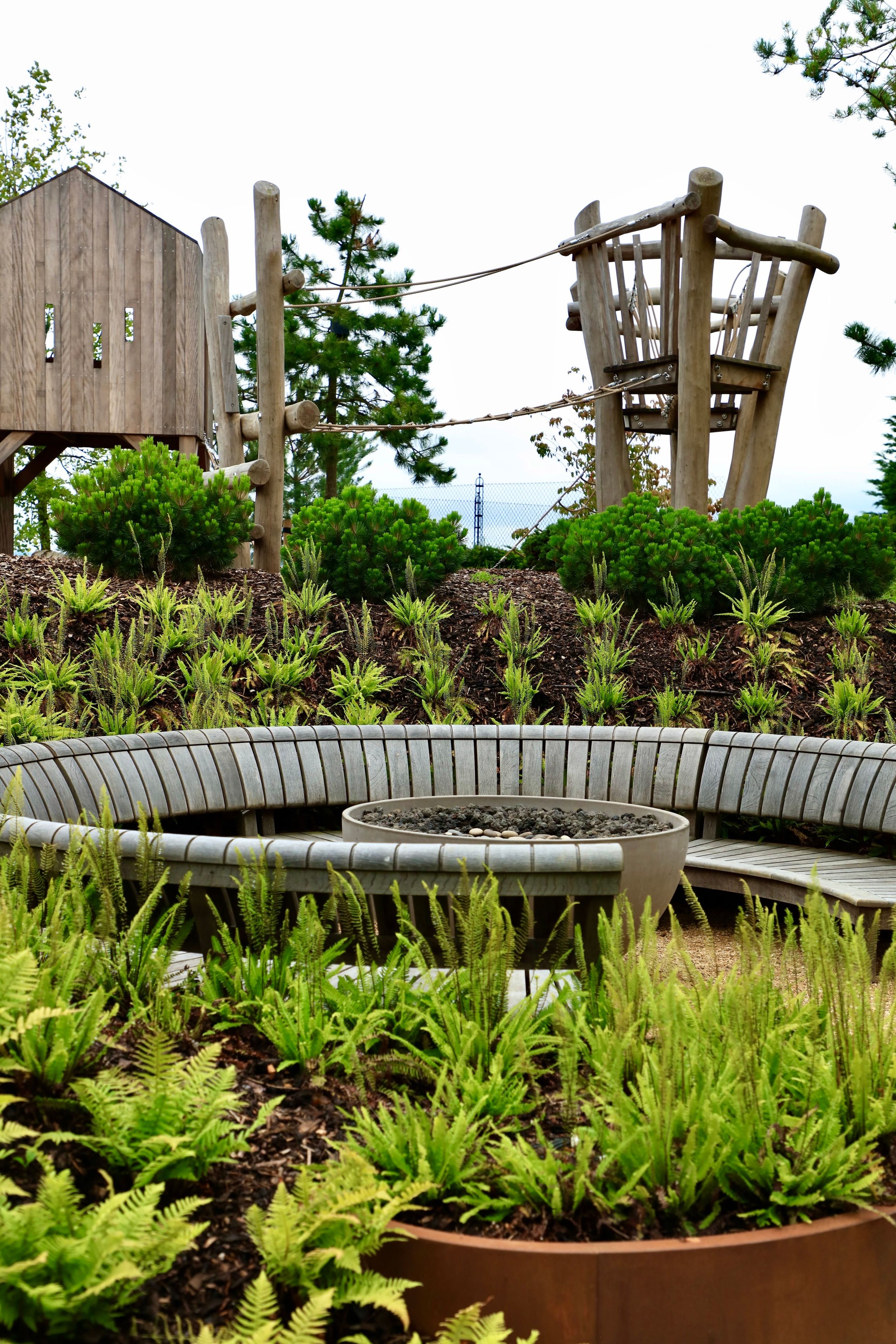 Image may contain: Garden, Nature, Outdoors, Plant, Potted Plant, Jar, Planter, Pottery, Vase, Backyard, Yard, and Grass