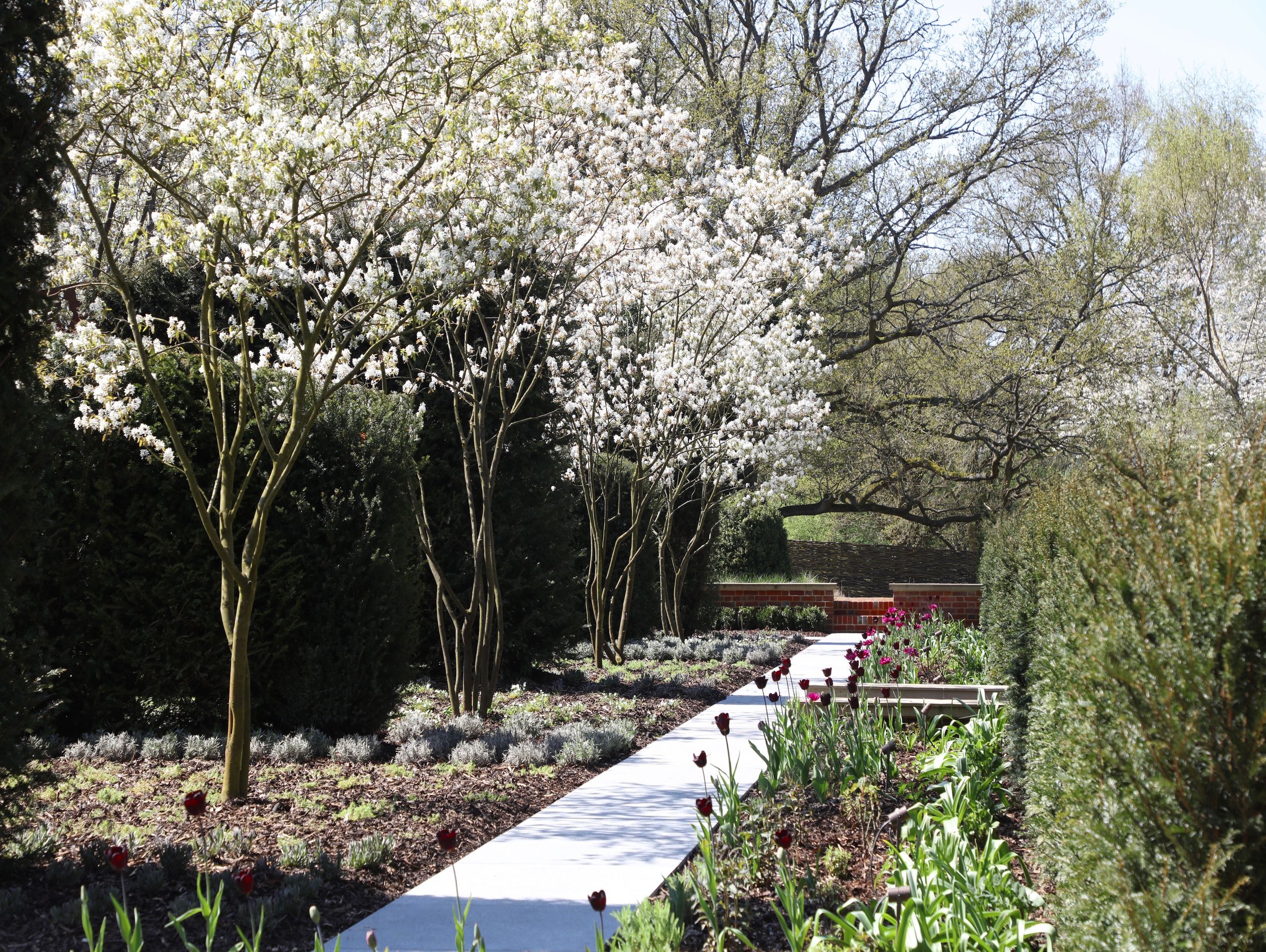 Image may contain: Grass, Nature, Outdoors, Park, Plant, Garden, Vegetation, Grove, Land, Tree, Woodland, Path, and Flower