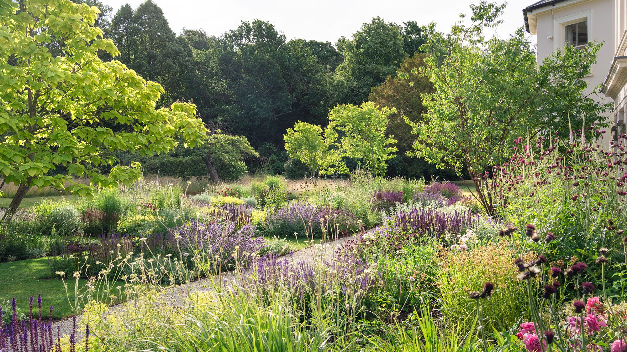 Image may contain: Garden, Nature, Outdoors, Plant, Vegetation, Herbal, Herbs, Grove, Land, Tree, Woodland, Grass, and Park