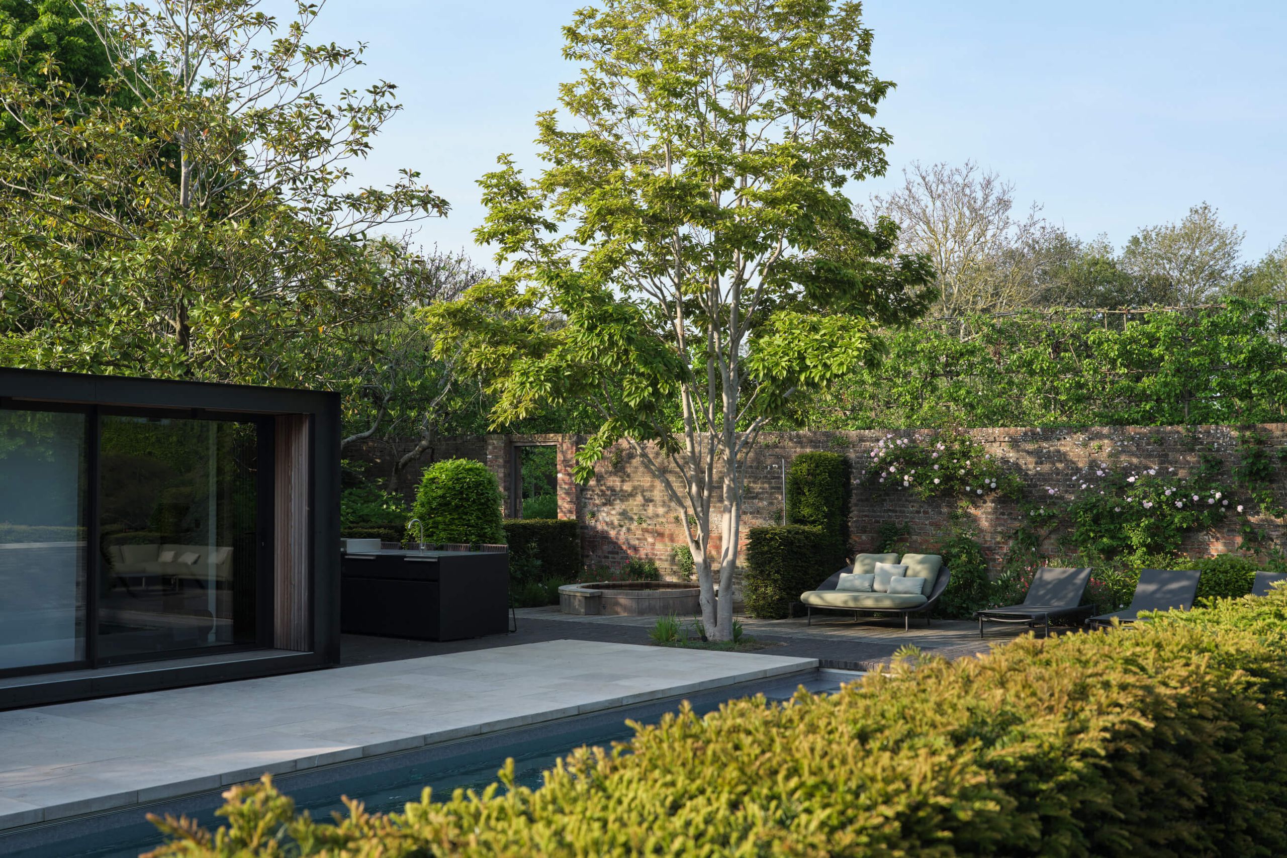 Image may contain: Plant, Vegetation, Tree, Chair, Furniture, Indoors, Interior Design, Backyard, Nature, Outdoors, and Yard