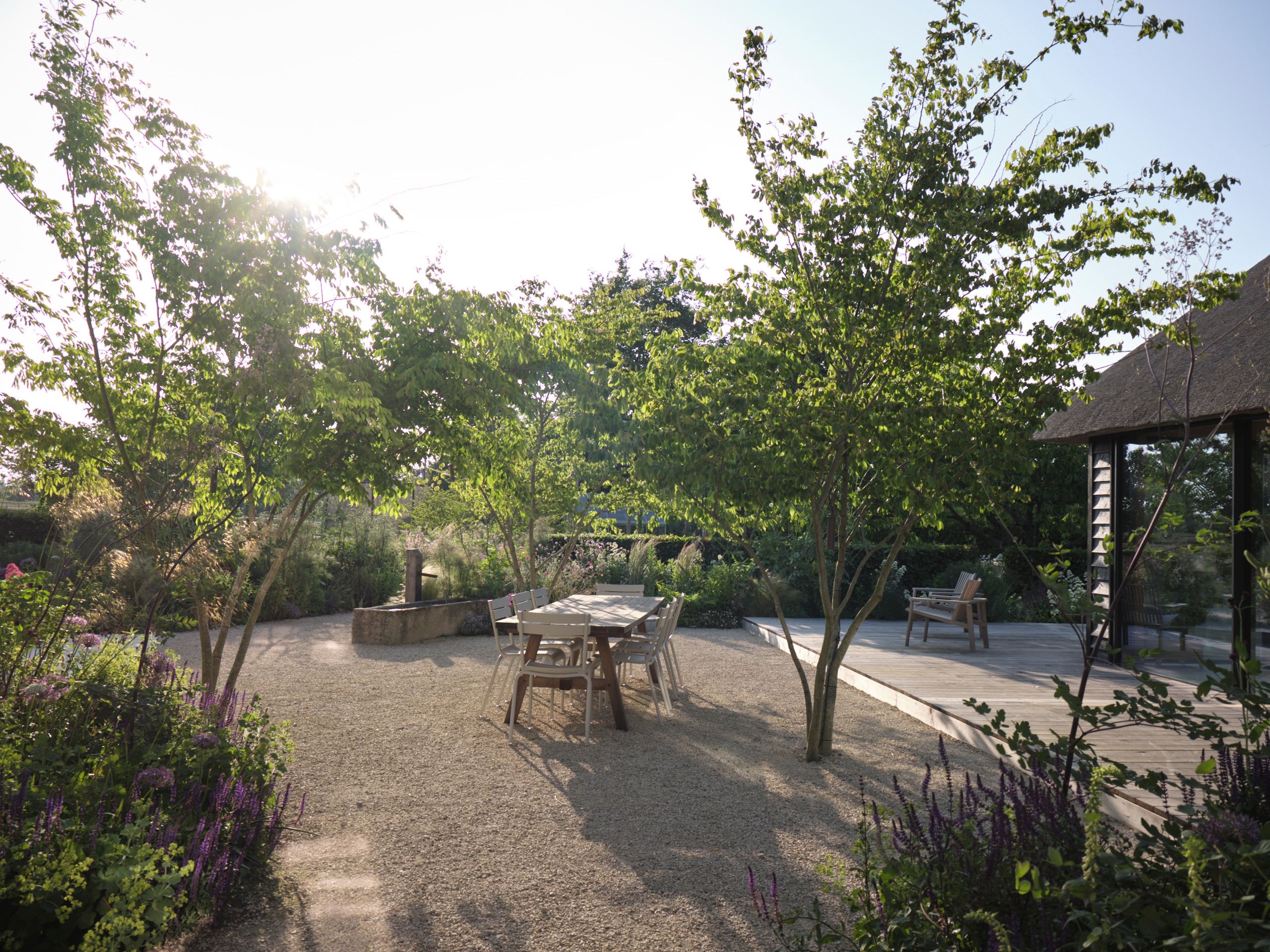 Image may contain: Grass, Nature, Outdoors, Park, Plant, Garden, Vegetation, Scenery, Backyard, Yard, Tree, and Chair