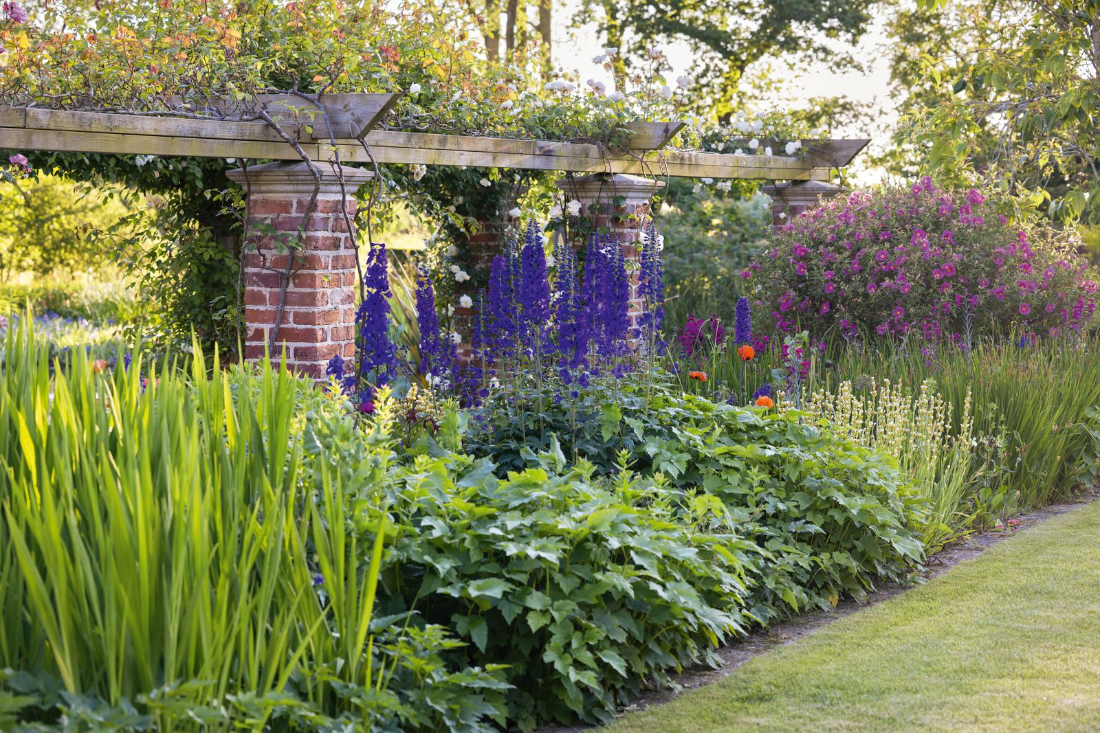 Image may contain Garden Nature Outdoors Backyard Yard Plant Vegetation Grass Architecture Building and House