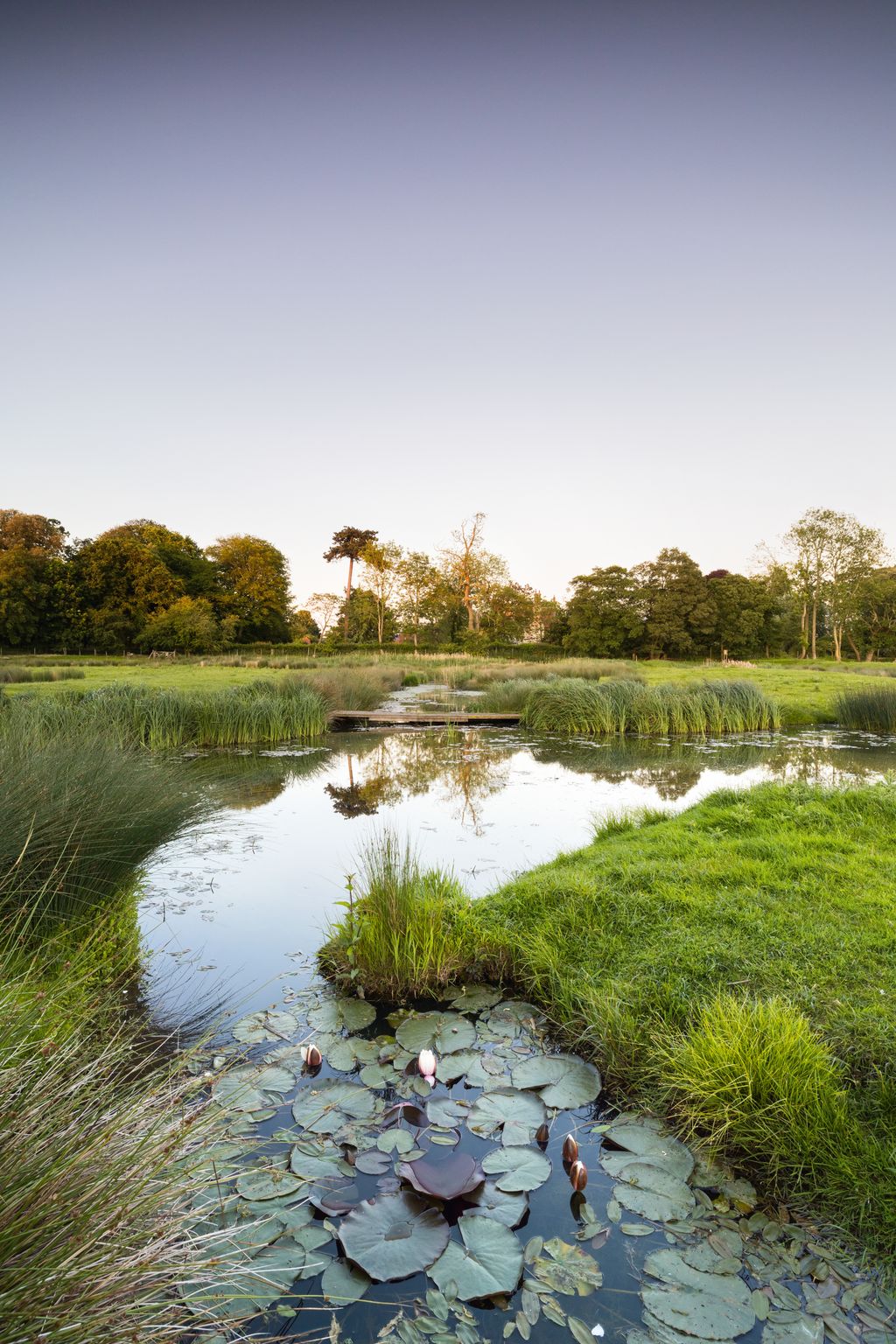 Image may contain Nature Outdoors Pond Water Plant Vegetation Grass Land Flower Park Tree Grove and Woodland