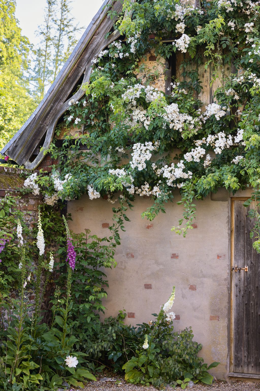 Image may contain Garden Nature Outdoors Architecture Building Cottage House Housing Arbour Flower Plant and Vine