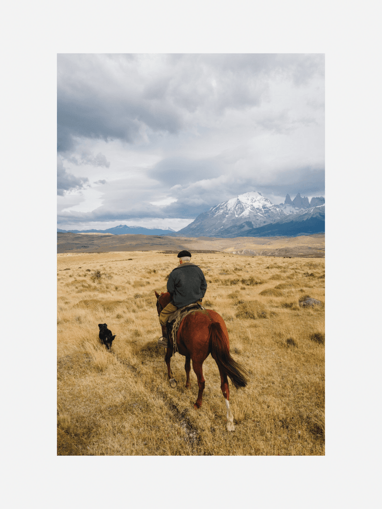 Image may contain Johann Adam Schall von Bell Field Grassland Nature Outdoors Adult Person Animal Horse and Mammal