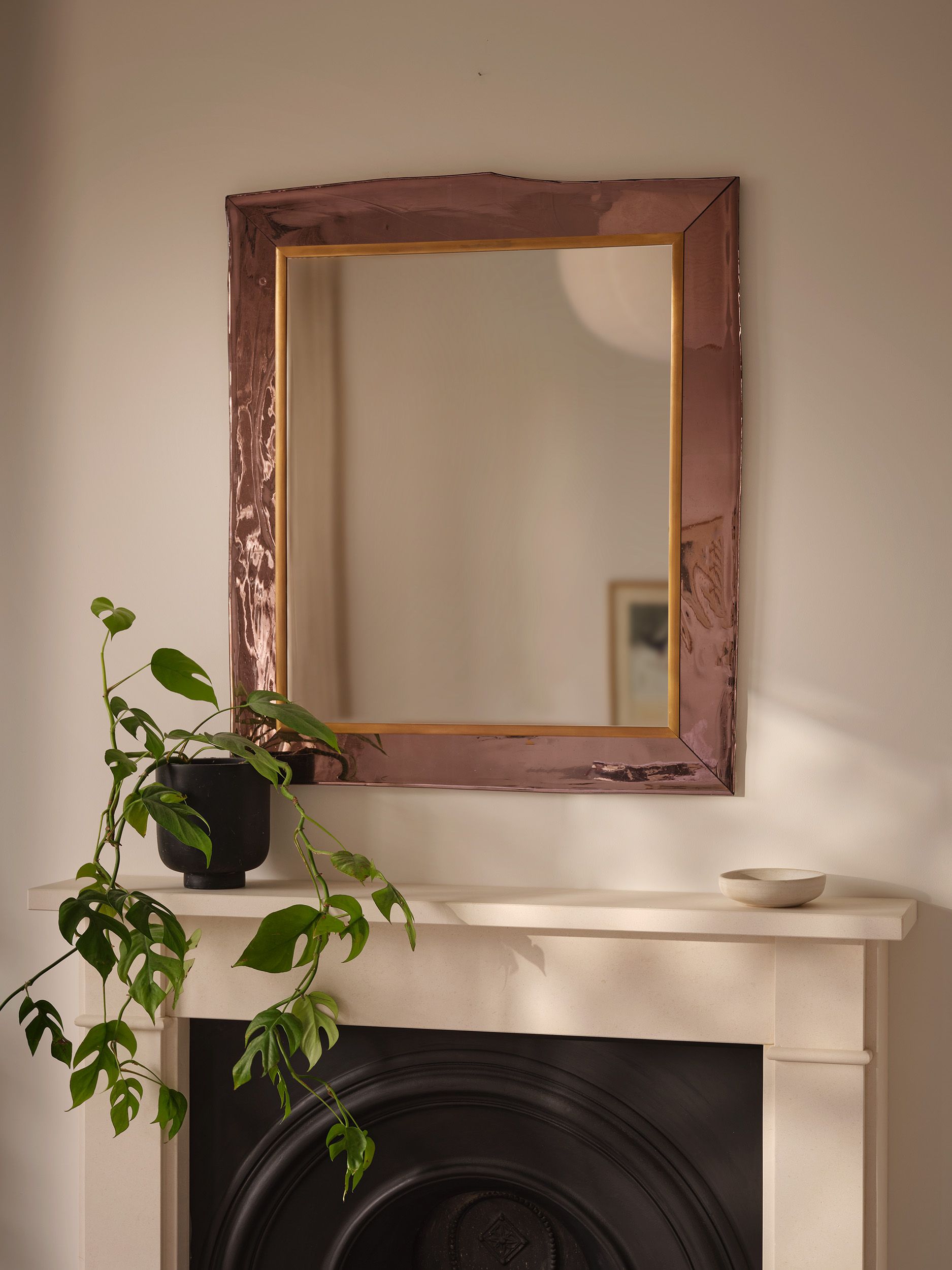 Image may contain: Plant